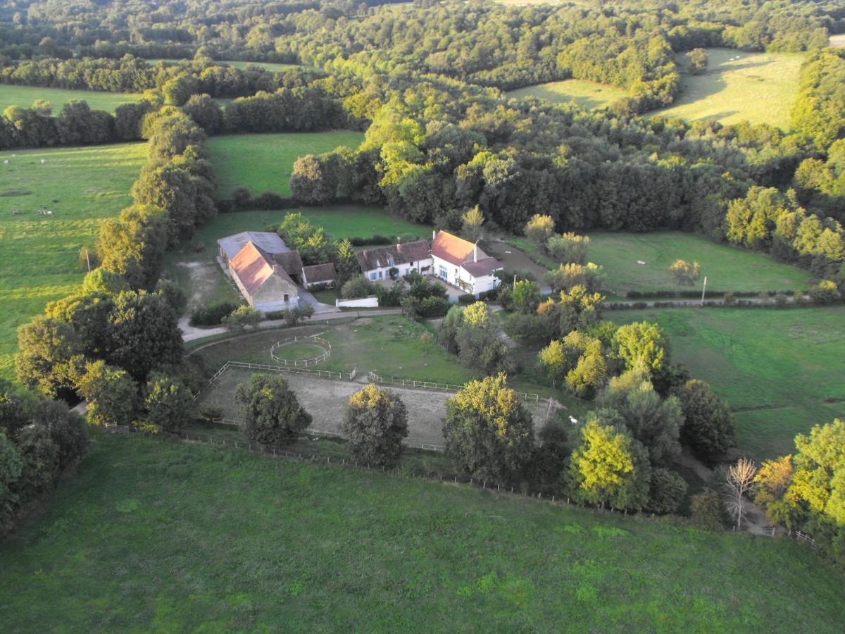 Domaine De Varenne Bed and Breakfast Saint-Amand-en-Puisaye Εξωτερικό φωτογραφία