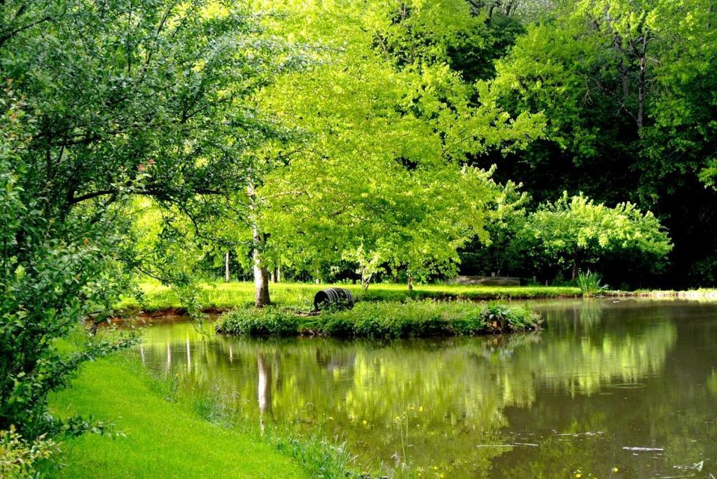 Domaine De Varenne Bed and Breakfast Saint-Amand-en-Puisaye Εξωτερικό φωτογραφία